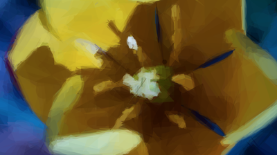 Cover picture for a blog post titled What's in a JWT (Json Web Token)?